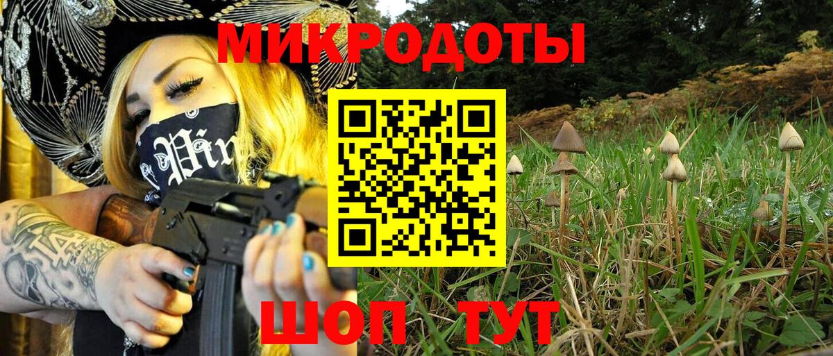 Псилоцибиновые грибы Psilocybe Гай