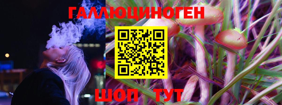 Псилоцибиновые грибы Psilocybe  Вход с VPN  Гай  Галлюциногенные грибы Magic Shrooms 